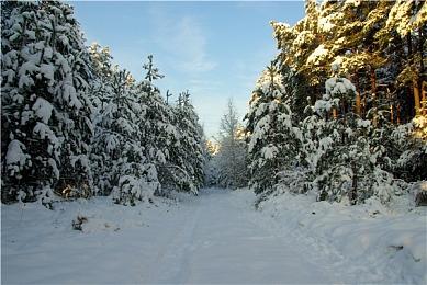 《Apex英雄》多个限时模式10月回归：“控制”等