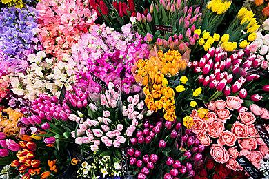 全年龄向恋爱题材作品《月白星斗》Steam页面 明年发售