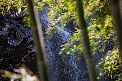 GTAOL：本周回收站收入可享双倍收获